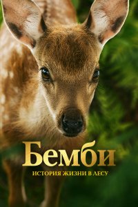 Бемби. История жизни в лесу - постер