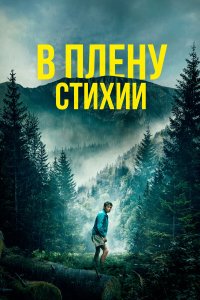 В плену стихии - постер