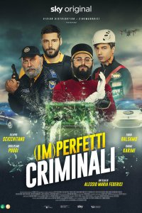 (Не)идеальные преступники - постер