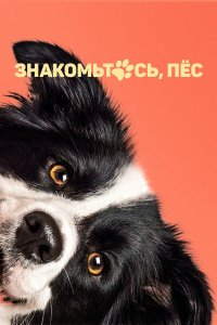 Знакомьтесь, пёс - постер