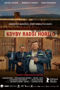 Лишь бы горело - постер