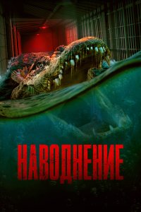 Наводнение - постер