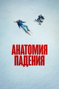 Анатомия падения - постер